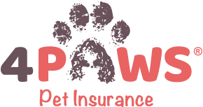 4 Paws - Pet Insurance